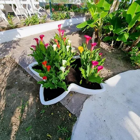 Appartement Maridea - Piscine Naturali Ponza